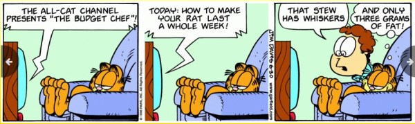 Garfield June 30 1998