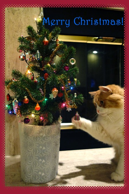 Merry Christmas 2014