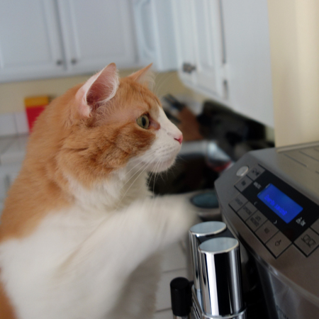 Rusty and Coffeemaker