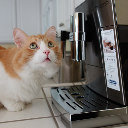 Rusty and Coffeemaker