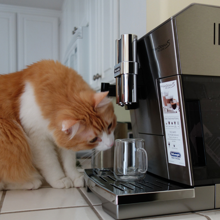 Rusty and Coffeemaker