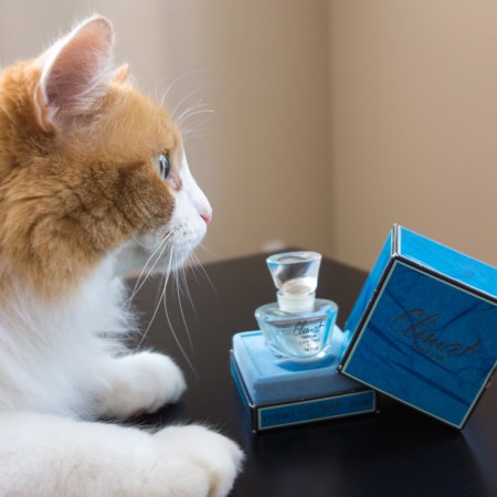 Rusty and Climat Bottle