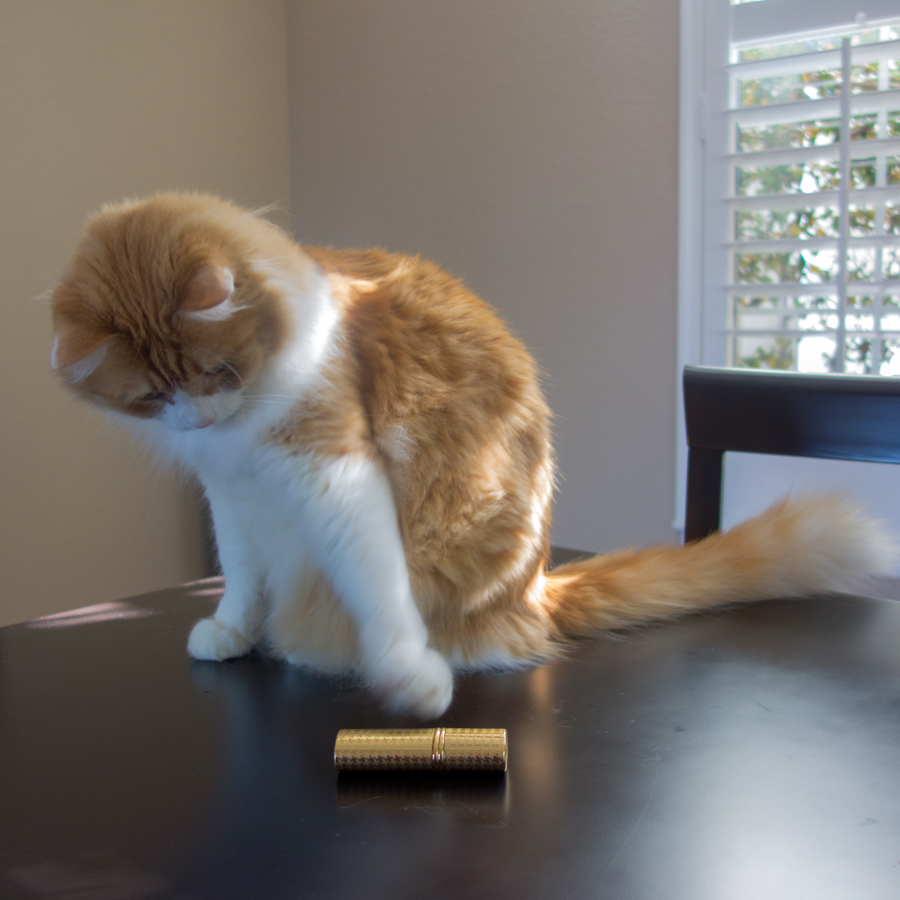 Rusty and Miss Dior Bottle