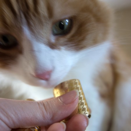 Rusty sniffs Miss Dior Bottle