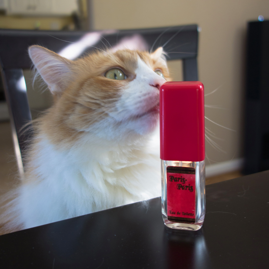 Rusty and Paris-Paris Bottle