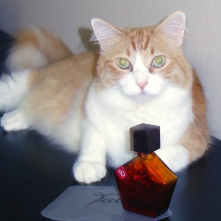 Rusty and Une Rose Vermeire