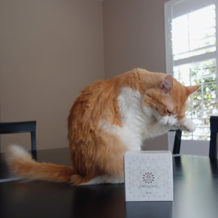 Rusty and Amouage Dia