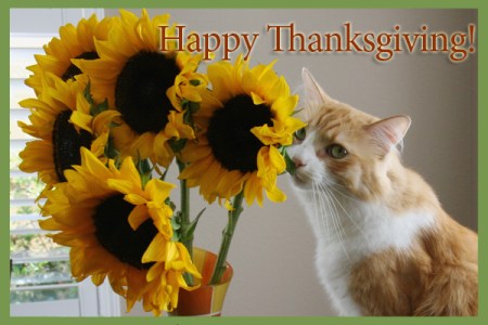 Happy Thanksgiving 2015