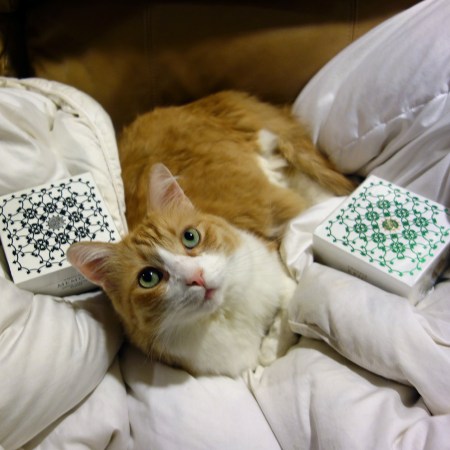 Rusty and Amouage Soaps