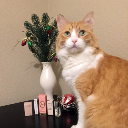 Rusty and Holiday Draw 2015