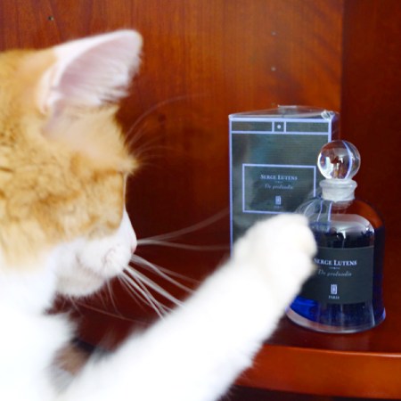 Rusty and SL De Profundis