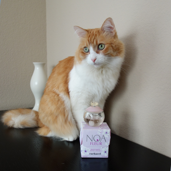 Rusty and Cacharel Noa Fleur