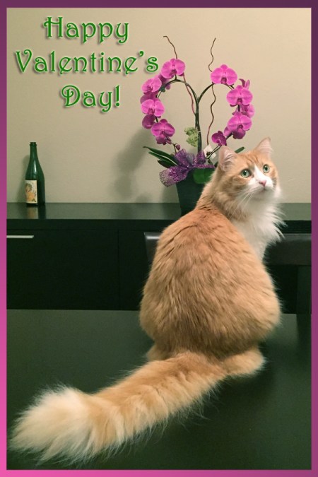 Happy Valentines Day 2016