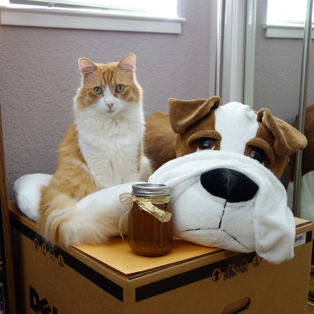 Rusty playing Milo (The Mask)