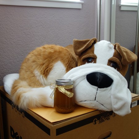 Rusty playing Milo (The Mask)