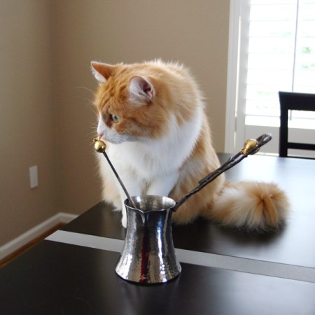 Rusty and Michael Aram Jezve