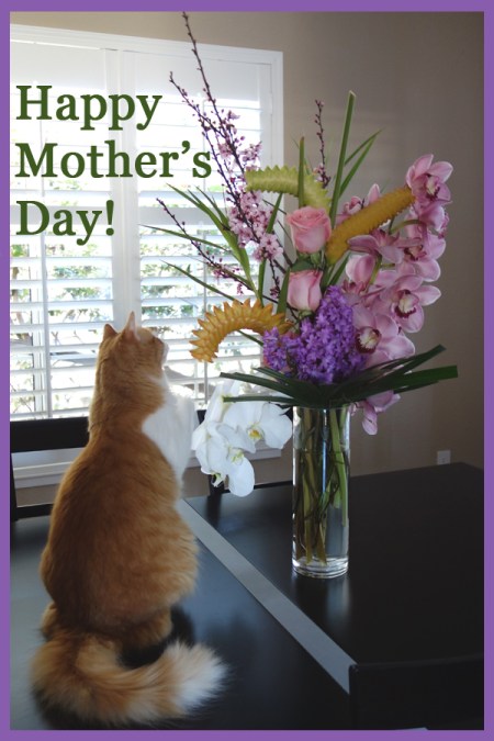 Happy Mother's Day 2016