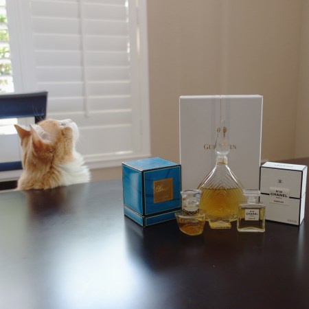 Rusty and Climat, Chamade and Chanel No19