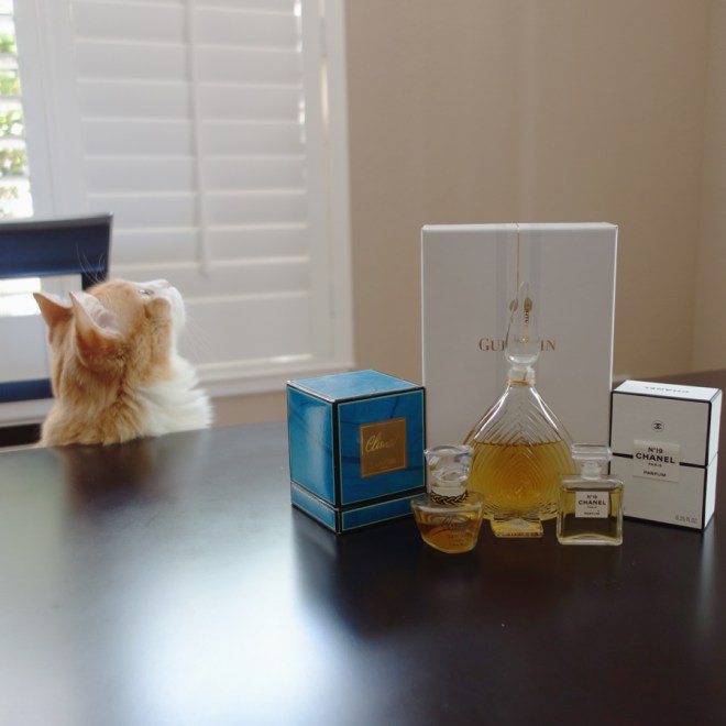 Rusty and Climat, Chamade and Chanel No19