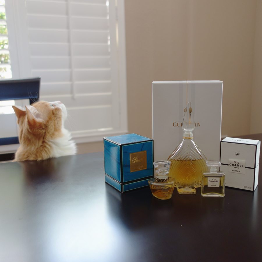 Rusty and Climat, Chamade and Chanel No19