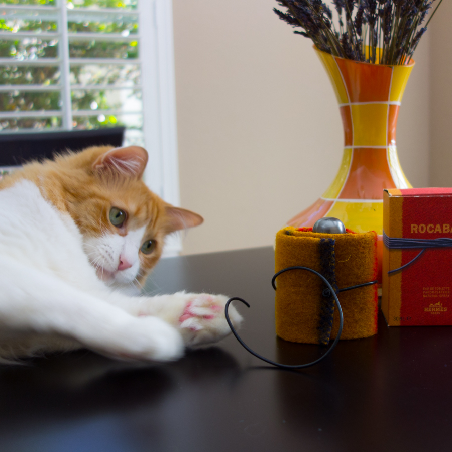 Rusty and Hermes Rocabar