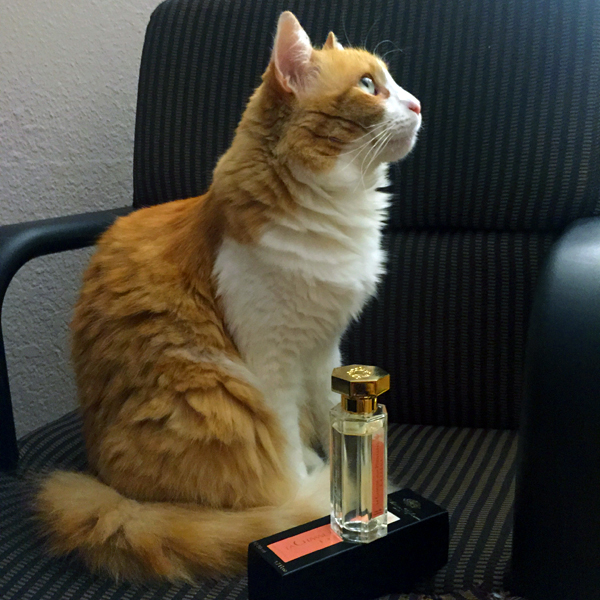 Rusty and La Chasse aux Papillons