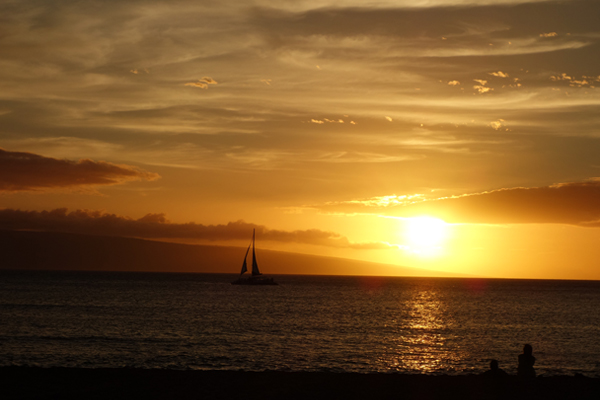 Maui: Dreams of the Sea