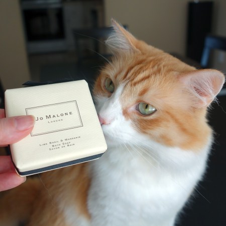 Rusty and Jo Malone Lime Basil & Mandarin Soap