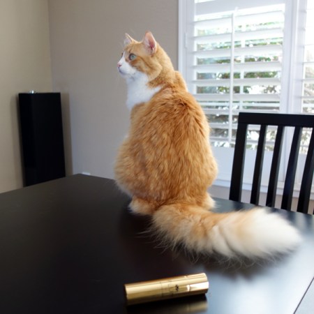 Rusty and Mary Greenwell Plum