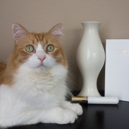 Rusty and Puredistance White