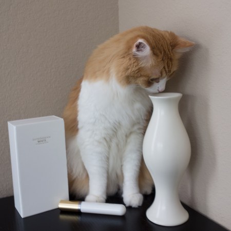 Rusty and Puredistance White