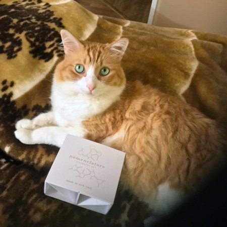 Rusty and Nomenclature perfume samples