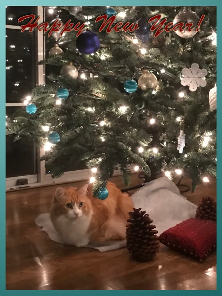 Happy New Year 2016!