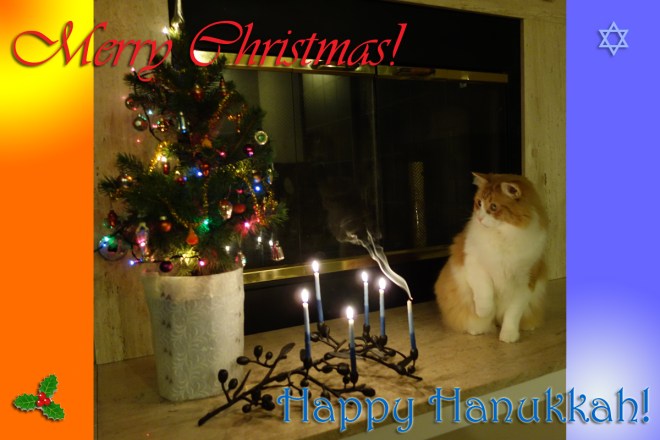 Merry Christmas & Happy Hanukkah!