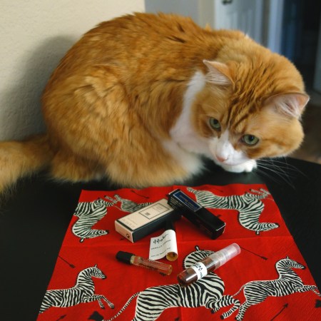 Rusty and Vanilla Samples