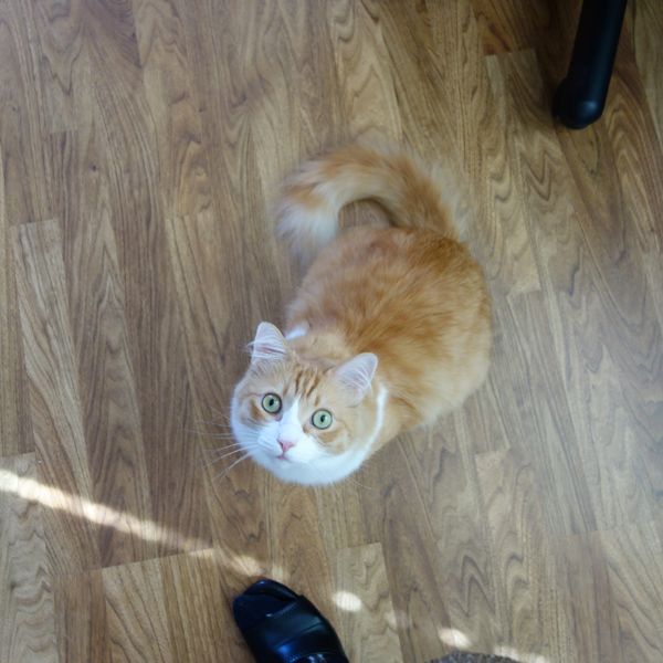 Rusty Before the Jump