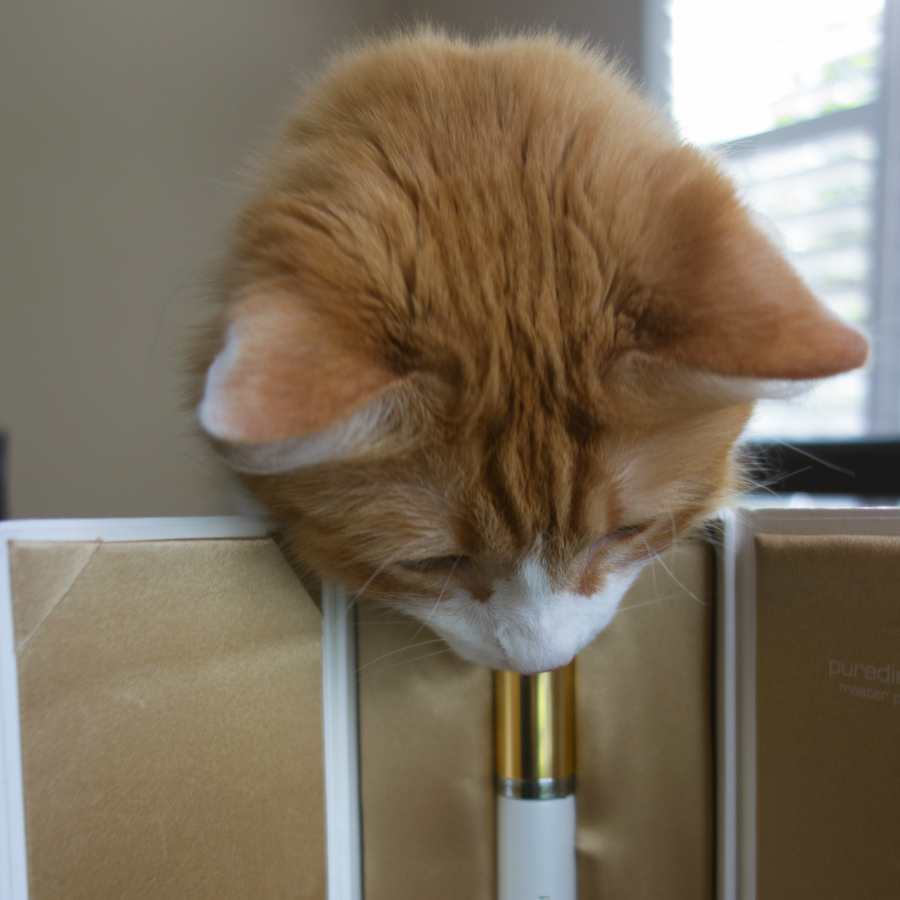 Rusty and Puredistance White