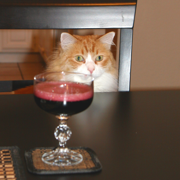 Rusty and Red Champagne