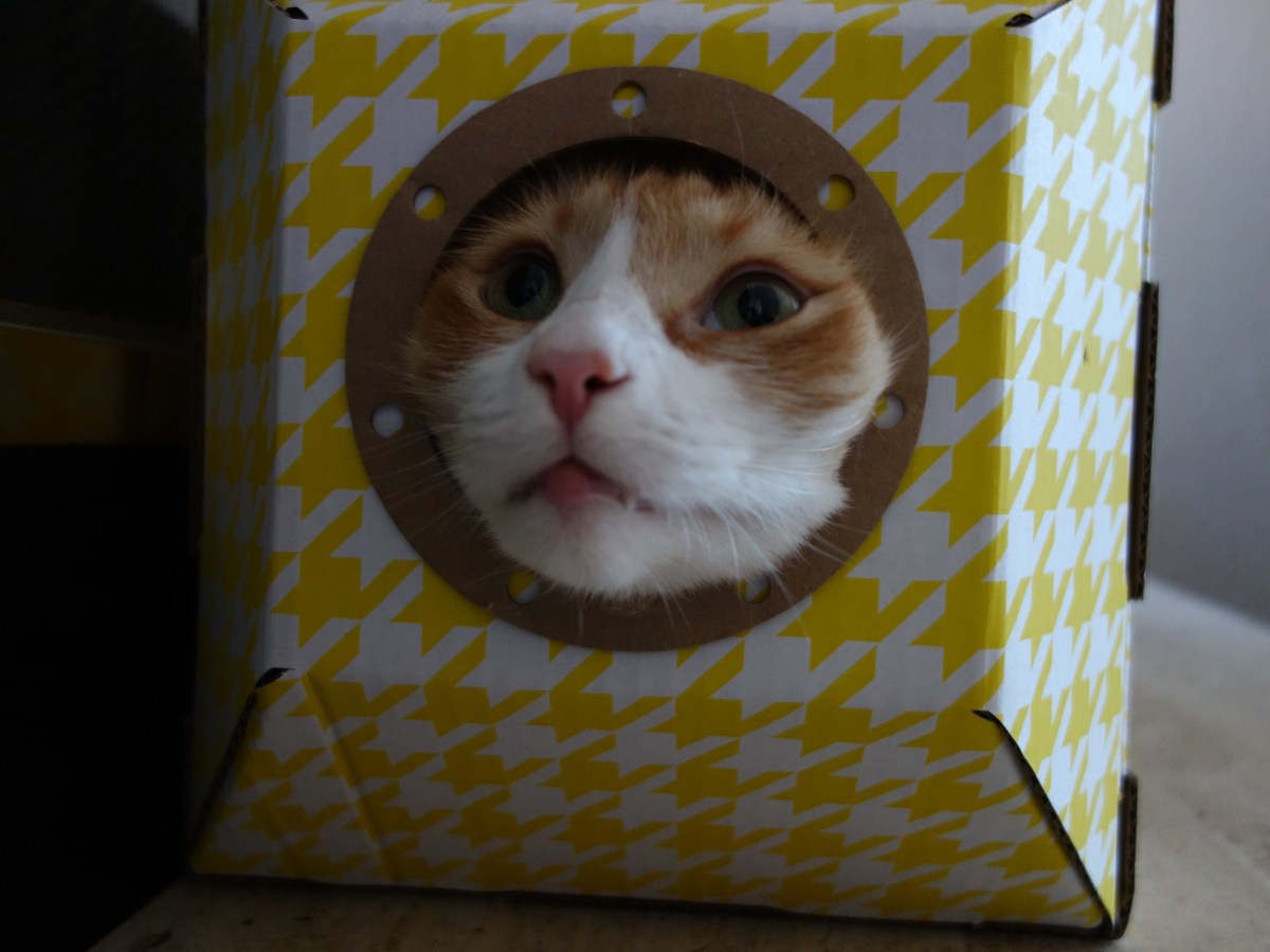 Rusty and "Submarine"