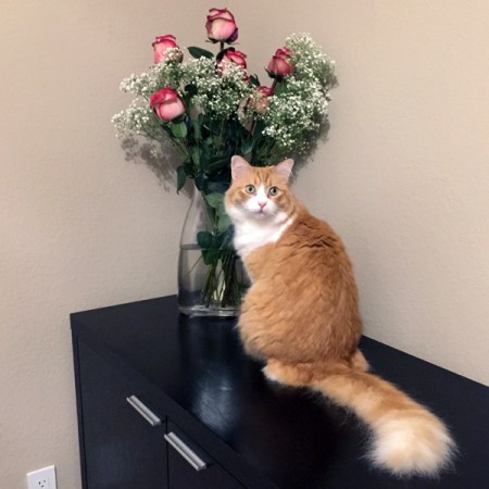Rusty and Roses Bouquet