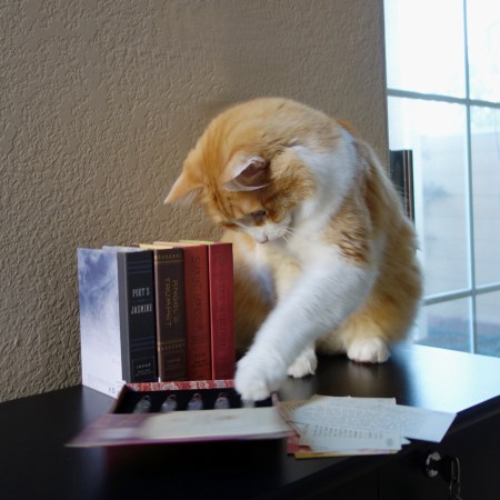 Rusty and Ineke Scent Library