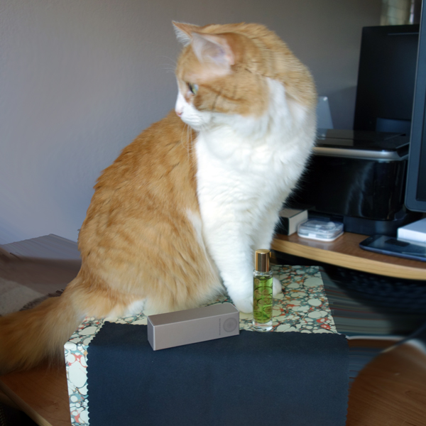 Rusty and NVC Pichola