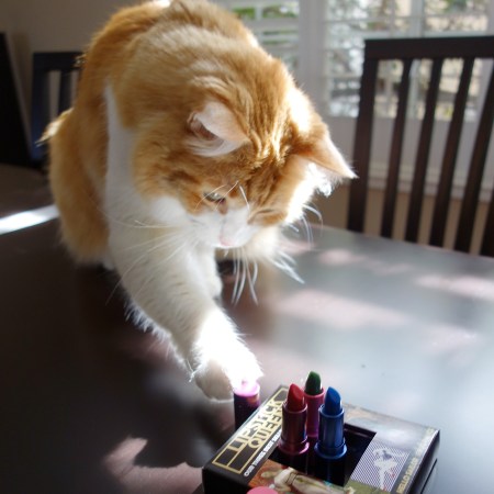 Rusty and Lipstick Queen 3 Minis