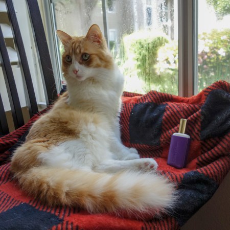 Rusty and Atelier Cologne Mimosa Indigo