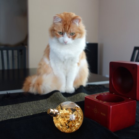 Rusty and Ramon Molvizar Sol Sun