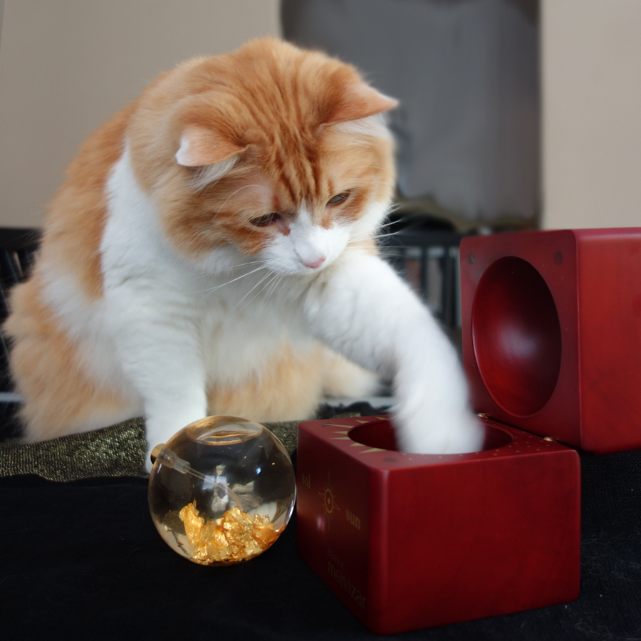 Rusty and Ramon Molvizar Sol Sun