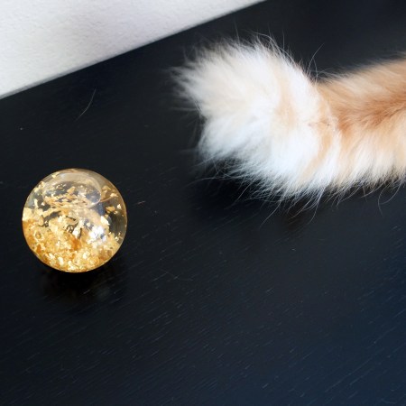 Rusty and Ramon Molvizar Sun Sol