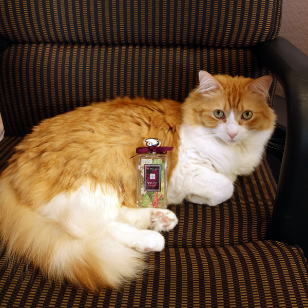 Rusty and Jo Malone White Lilac and Rhubarb