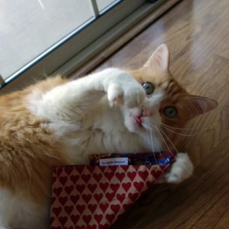 Rusty and Le Jardin Retrouve Bag