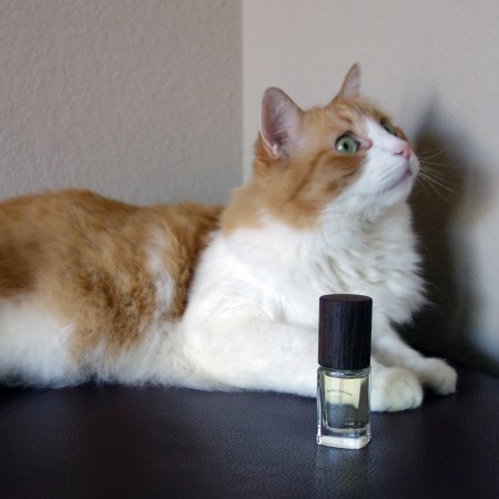 Rusty and Le Jardin Retrouve Cuir de Russie